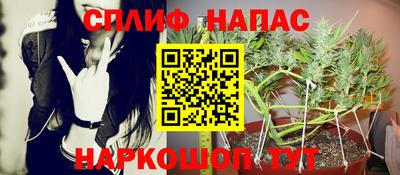 apvp Обь