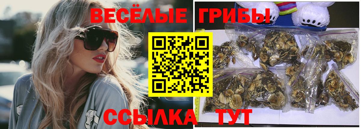 Псилоцибиновые грибы Magic Shrooms Севастополь