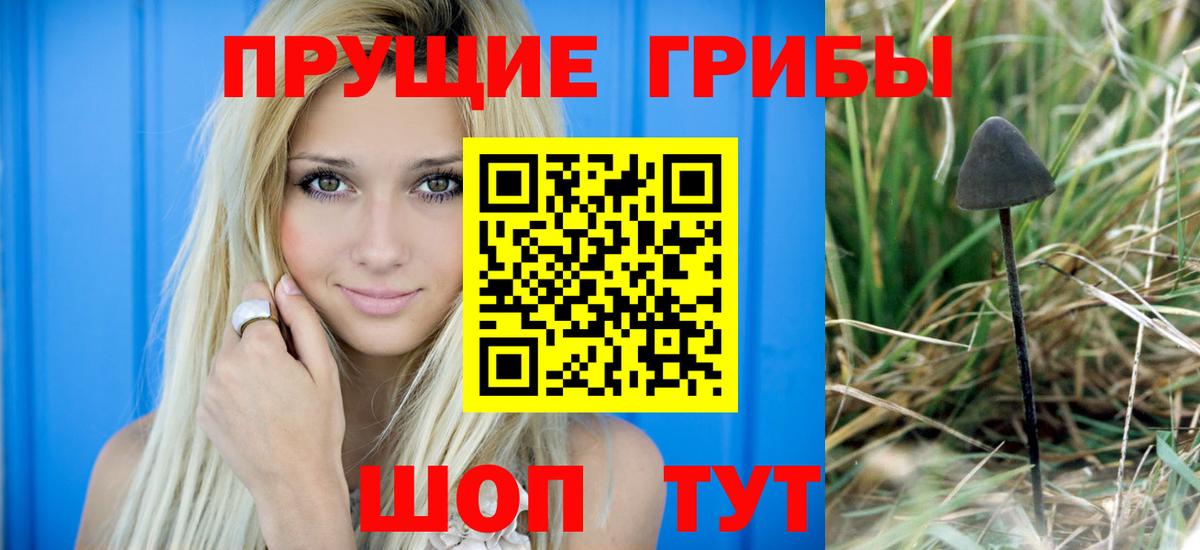 Галлюциногенные грибы Psilocybine cubensis  купить наркотик  Севастополь  Вход с VPN  Галлюциногенные грибы Psilocybe 